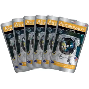 Astronaut Foods Freeze-Dried Bananas, 6 pack