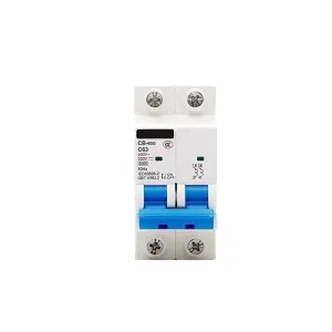 CB-125G 2P 80A 100A 125A DC 125V/220V AC400V Miniature Circuit Breaker MCB(1P DC110V,50A)