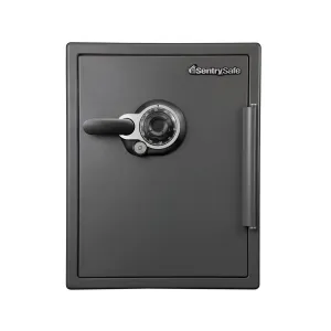 Combination Fire/Water Safe SFW205DPB