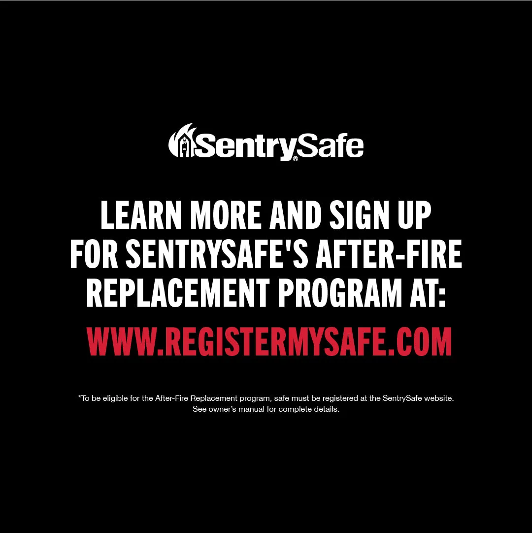 Combination Fire/Water Safe SFW205DPB