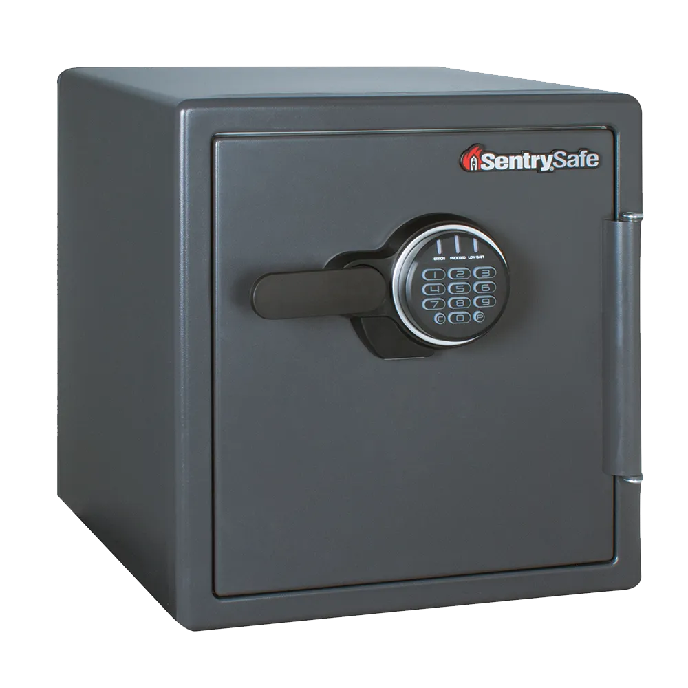 Digital Fire Safe SF123ES