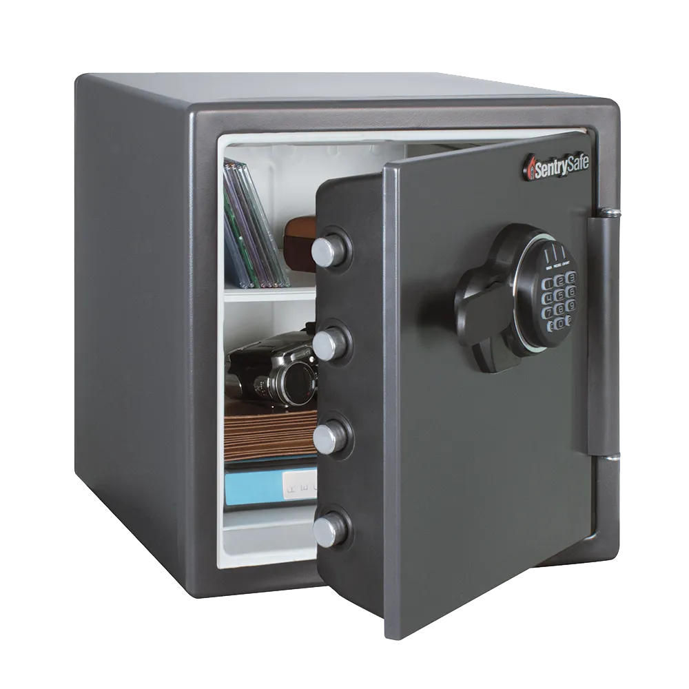 Digital Fire Safe SF123ES
