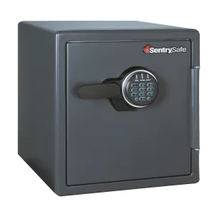 Digital Fire Safe SF123ES