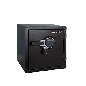 Digital Fire/Water Safe SFW123GTC