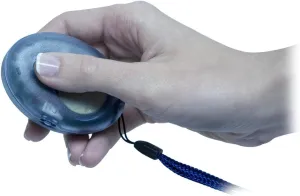 Digital Talking Compass - English-Spanish Speaking