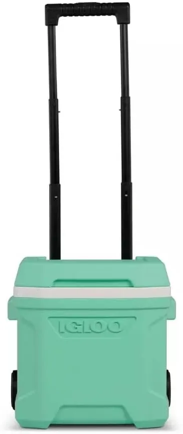 Igloos Cooler Hard-Sided Ice Chest, Insulated Portable Cooler, Heavy-Duty, Leak-Resistant Lid, Lightweight Ergonomic Handle