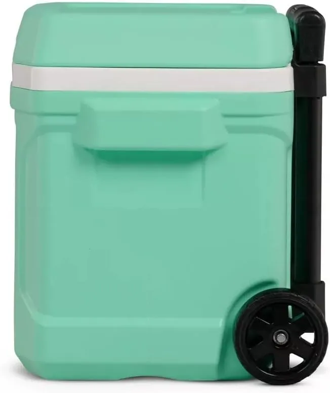 Igloos Cooler Hard-Sided Ice Chest, Insulated Portable Cooler, Heavy-Duty, Leak-Resistant Lid, Lightweight Ergonomic Handle