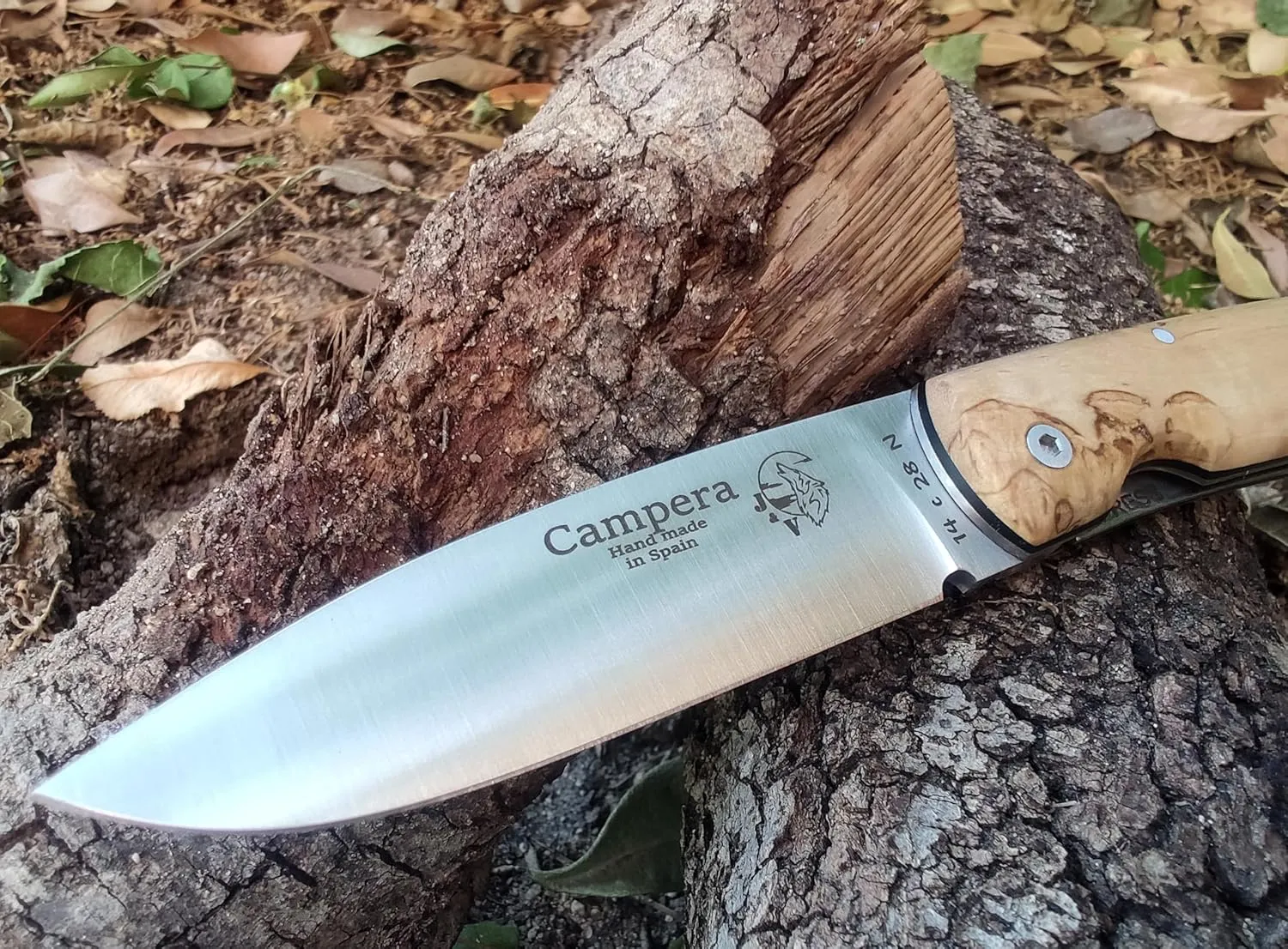 J&V CAMPERA Curly Birch Handles Folding Knife for Bushcraft, Camping, Hunting, Fishing and Outdoor Activities, 3.4" Stainless Steel Sandvik, EDC Gear and Equipment, Handmade in Spain