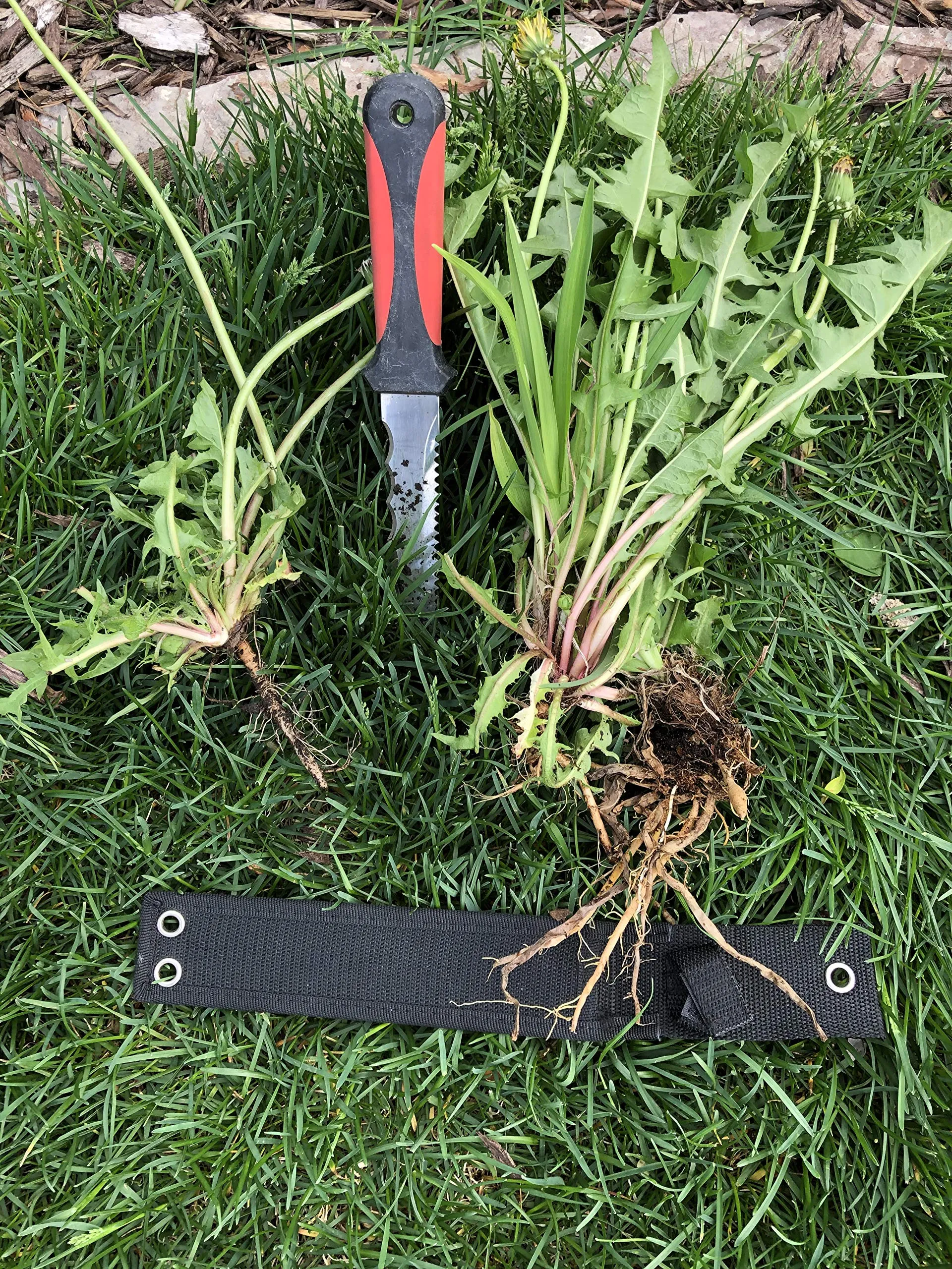 Keyfit Tools Weed Puller Weeding Knife for Deep Tap Root Weeds Like Dandelions, Crabgrass & Other Clump Grassy Weeds Stainless Steel Manual Weeder