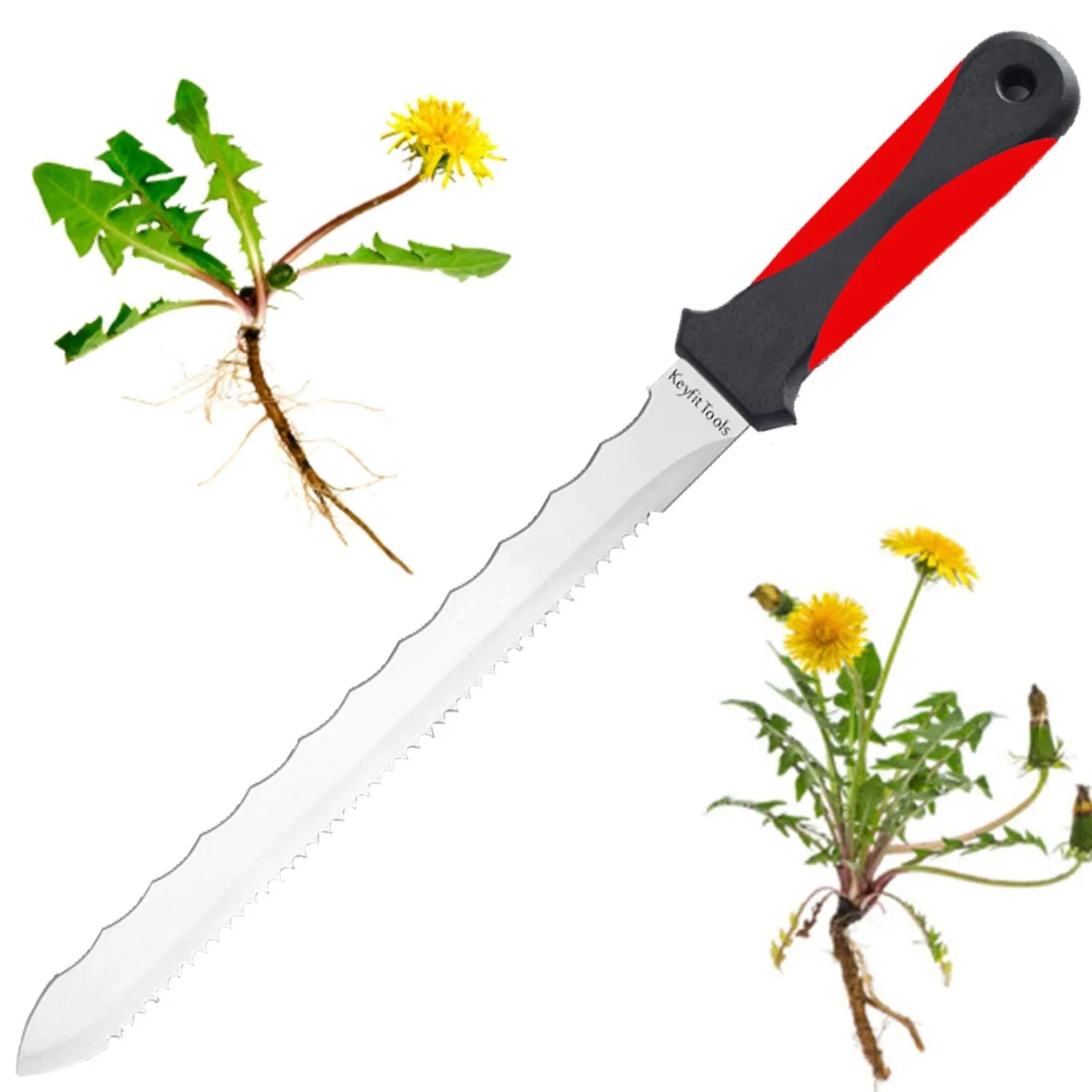 Keyfit Tools Weed Puller Weeding Knife for Deep Tap Root Weeds Like Dandelions, Crabgrass & Other Clump Grassy Weeds Stainless Steel Manual Weeder