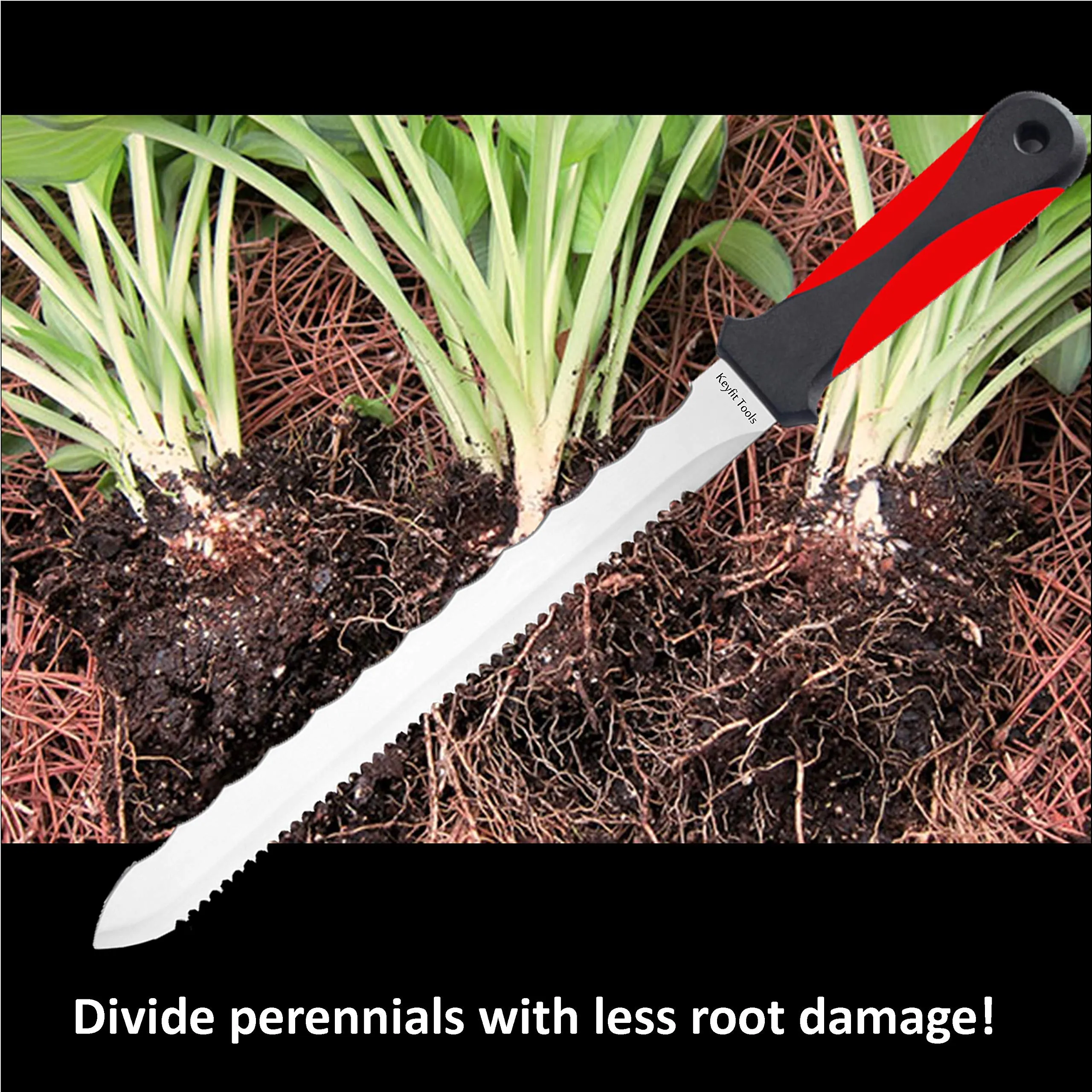 Keyfit Tools Weed Puller Weeding Knife for Deep Tap Root Weeds Like Dandelions, Crabgrass & Other Clump Grassy Weeds Stainless Steel Manual Weeder