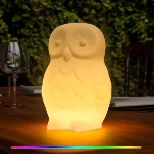 Outdoor Night Light Owl Garden Statue, RGB Color Changing Weatherproof Rechargeable LED Cordeless Lamp with Remote for Lawn Decor, Outside Patio, Yard, Balcony