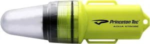 Princeton Tec