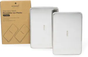 Stainless Steel Lunch Chillers - Ice Packs for Lunch Bags, Lunch Boxes, Bento Boxes and Coolers - 2 Pack, Plastic-Free and Sustainable