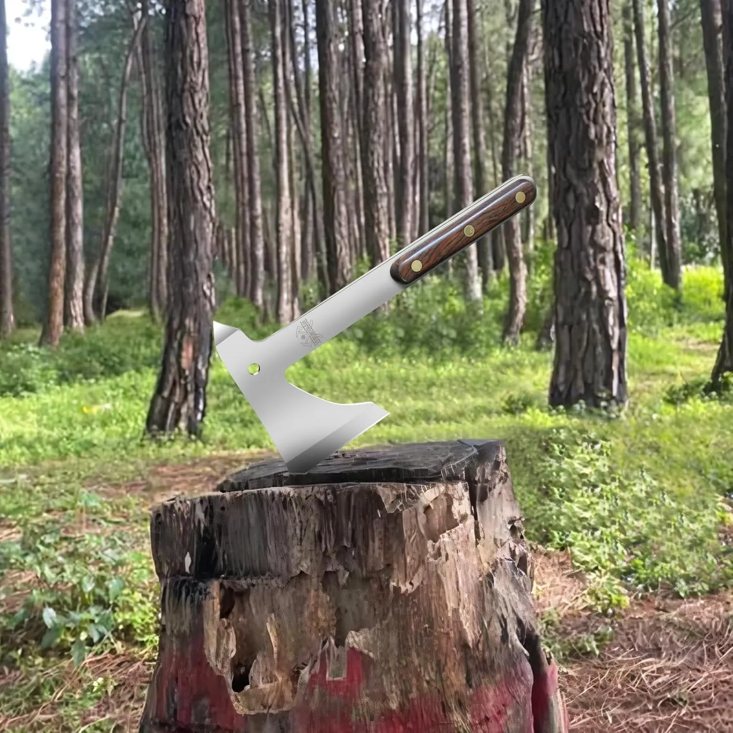 Throwing Axe, 10.2" Throwing Axes and Tomahawks Full Tang Stainless Steel with Woodle Handle and Nylon Sheaths, Perfect for Axe Throwing Game, Competition and Recreation