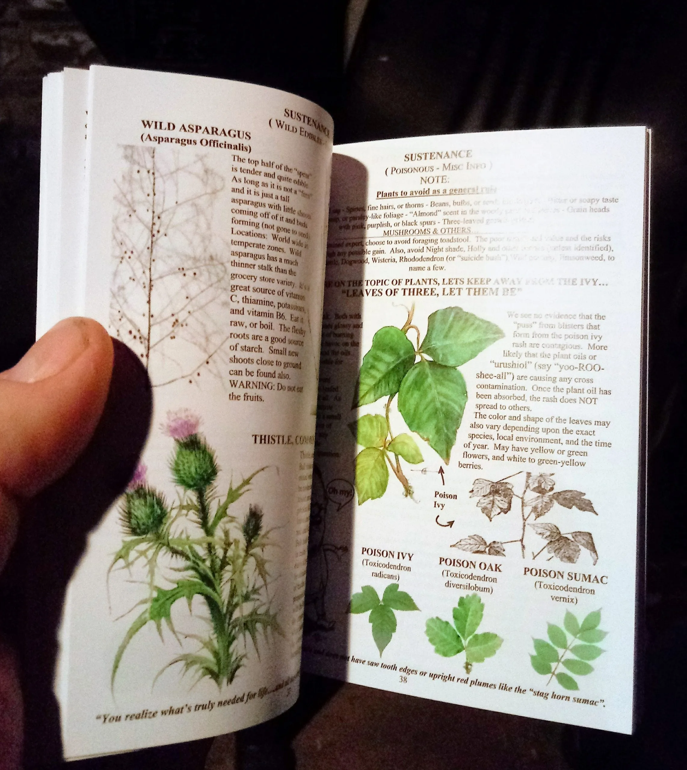 Tiny Pocket survival guide (ACW compact field manual)