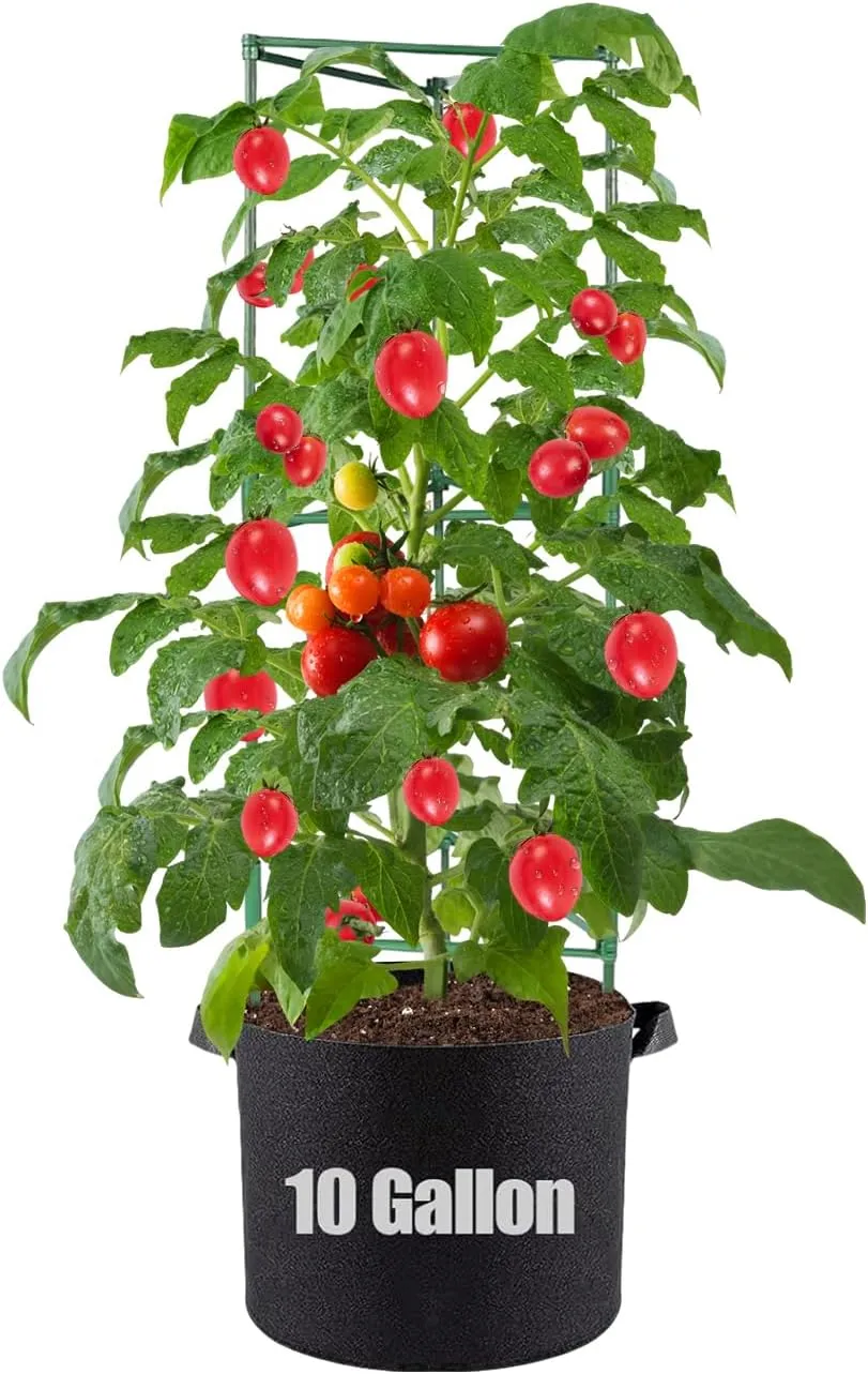 Tomato Cages with Grow Bags - 50 Inches Tomato Trellis for Raised Garden Bed, 1-Pack Tomato Plant Support, with 10 Gallon Plant Grow Bags, Reusable and Height Adjustable