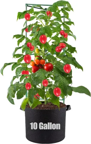 Tomato Cages with Grow Bags - 50 Inches Tomato Trellis for Raised Garden Bed, 1-Pack Tomato Plant Support, with 10 Gallon Plant Grow Bags, Reusable and Height Adjustable