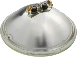 Wagner Lighting 4537 Standard Multi-Purpose Light Bulb Box of 1