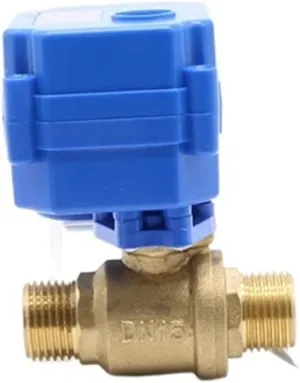 Withstand high Pressure and Temperature Extremes CWX-15N DN15 G1/2 MxM Brass Electric Ball Valve Mini Automatic Motor Valve AC/DC9-24V / AC220V CR03 / 04(Ac220v)